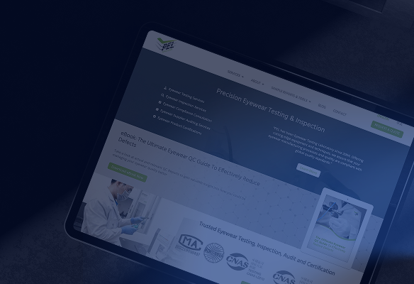 Rebranding And New Website Transforms Niche B2B Chinese Company Into a Digital Success Story